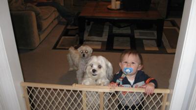 Toby with our grandson Weston