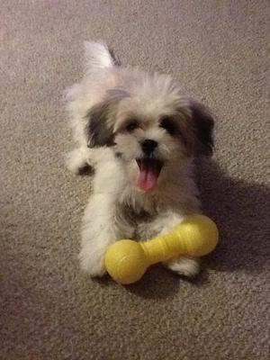 Mindy and one of her toys