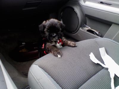 My first car ride