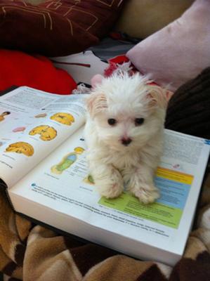 Helping momma study :)