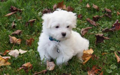 checking out the yard!