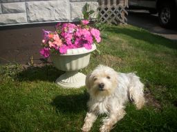 Ellie enjoying the outdoors.