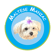 The Maltese Maniac Dog Blog keeps you up-to-date on the newest pages and changes to the MalteseManiac.com site.